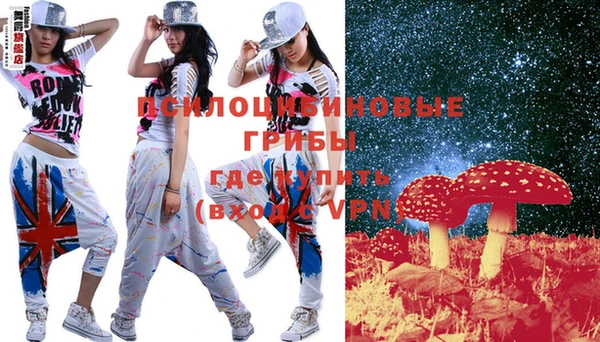 ешки Аркадак